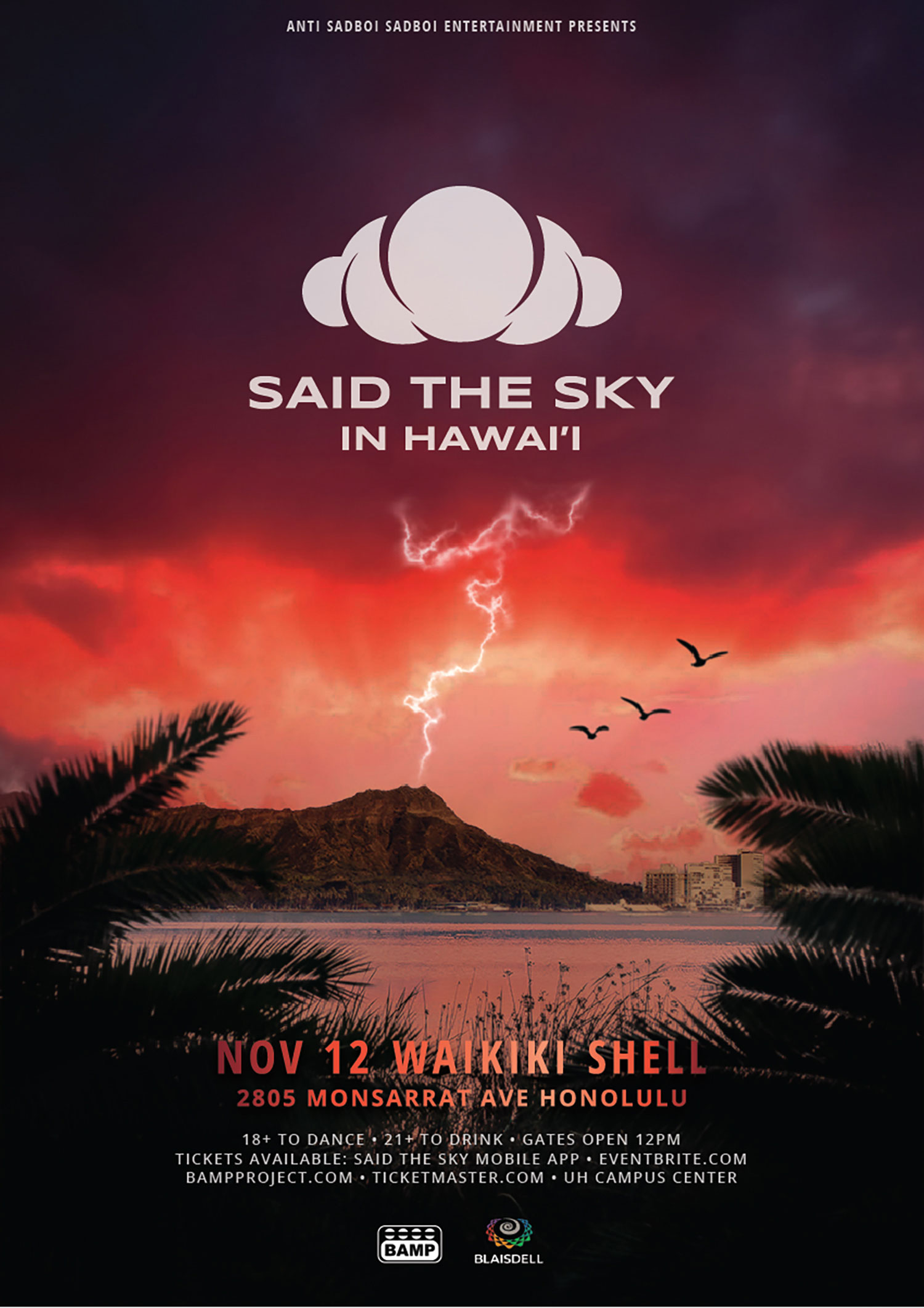 said the sky poster